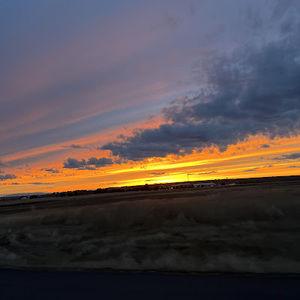 Meet your Posher, Frank